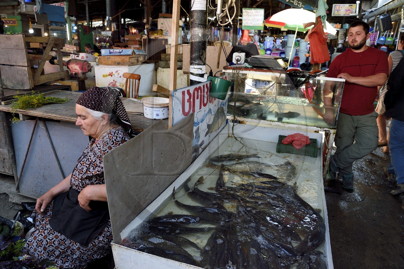 Géorgie, Kakheti, Telavi, le marché couvert, vente de poisson vivants