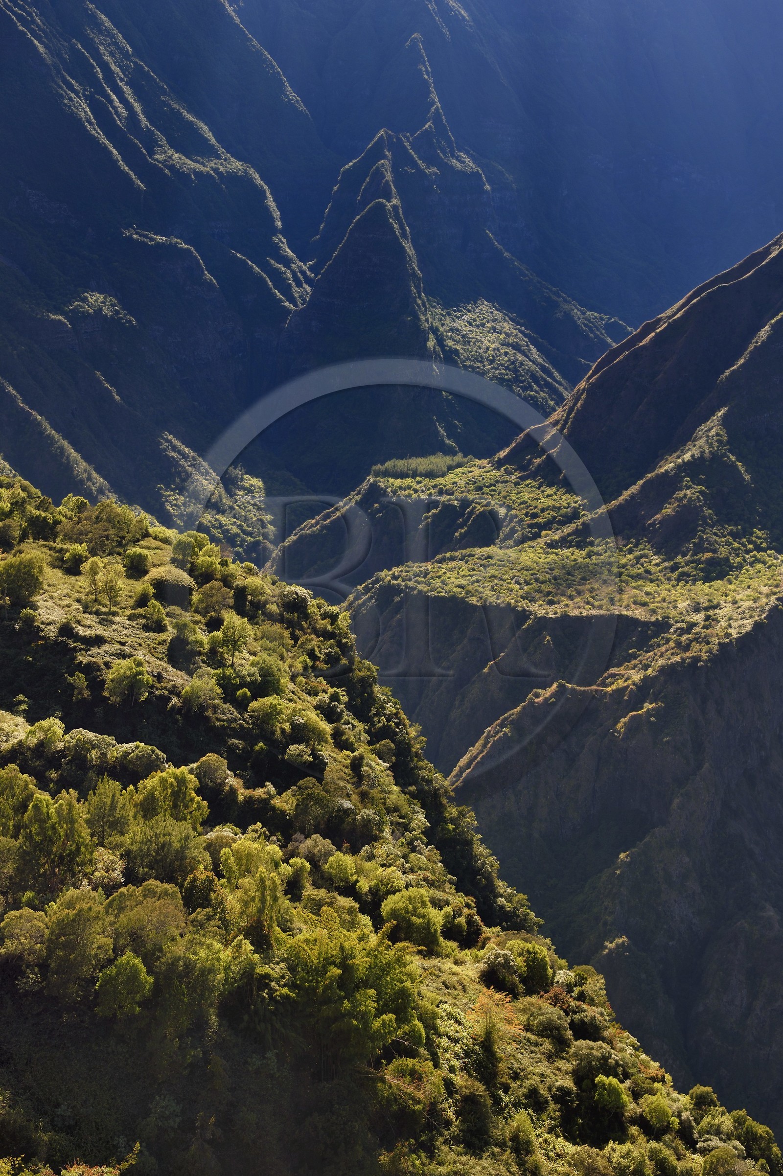 France, Ile de la Reunion, Parc National de la Réunion classé Patrimoine Mondial de l'UNESCO, La Possession, vers le village de Dos d'Ane, randonnée de la Roche Bouteille par le sentier Cap Noir, la vallée de Bras Sainte-Suzanne dans le Cirque de Mafate vu du kiosque de Cap Noir