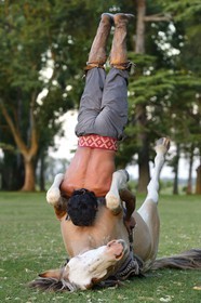Argentine, province de Buenos Aires, San Antonio de Areco, estancia La Bamba de Areco, demonstration du savoir-faire d'un cavalier amerindien avec son cheval