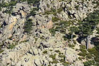 France, Corse-du-Sud (2A), Alta Rocca, Aiguilles de Bavella, randonneurs sur la variante alpine de l'étape du GR 20