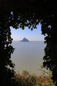 France, Manche (50), Baie du Mont-Saint-Michel, le Mont vu depuis l'ile de Tombelaine