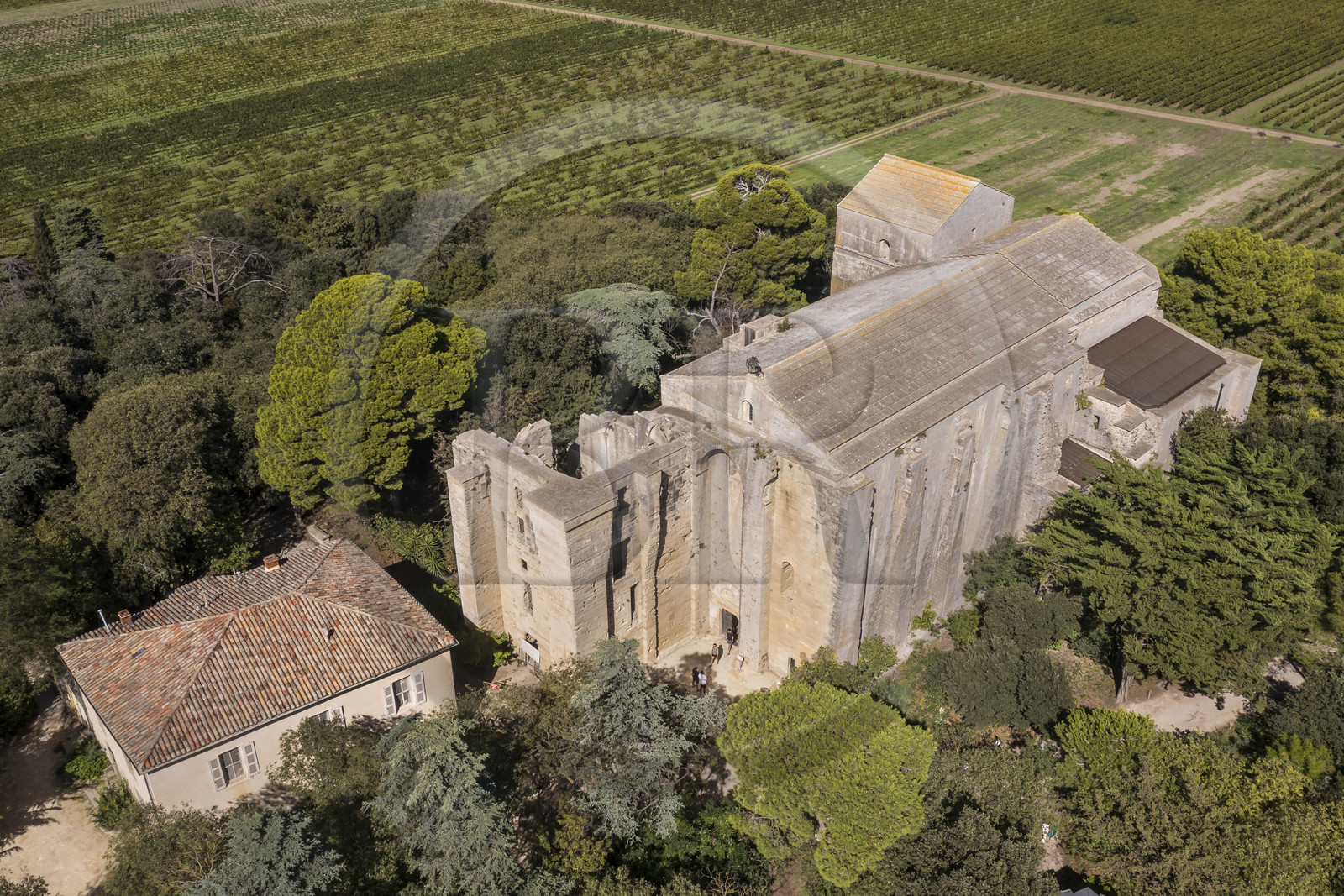 France, Hérault (34), Villeneuve-lès-Maguelone (Palavas-Les-Flots), cathédrale Saint-Pierre-et-Saint-Paul de Maguelone des XIIème et XIIIème siècles entourée de vignes sur son île (vue aérienne)