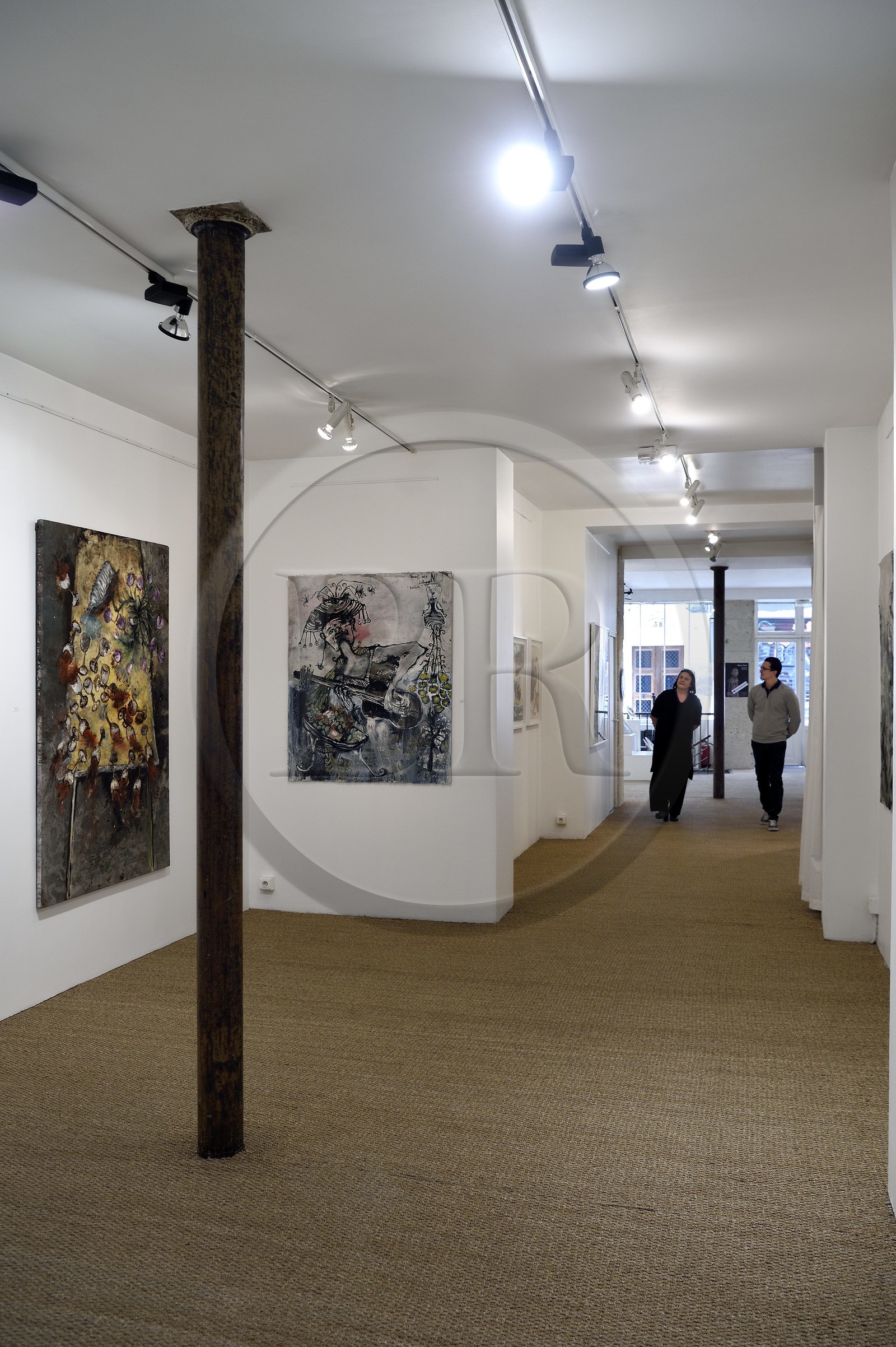 France, Paris, Galerie Schwab Beaubourg, galerie d'Art contemporain, exposition de l'artiste Emmanuelle Renard