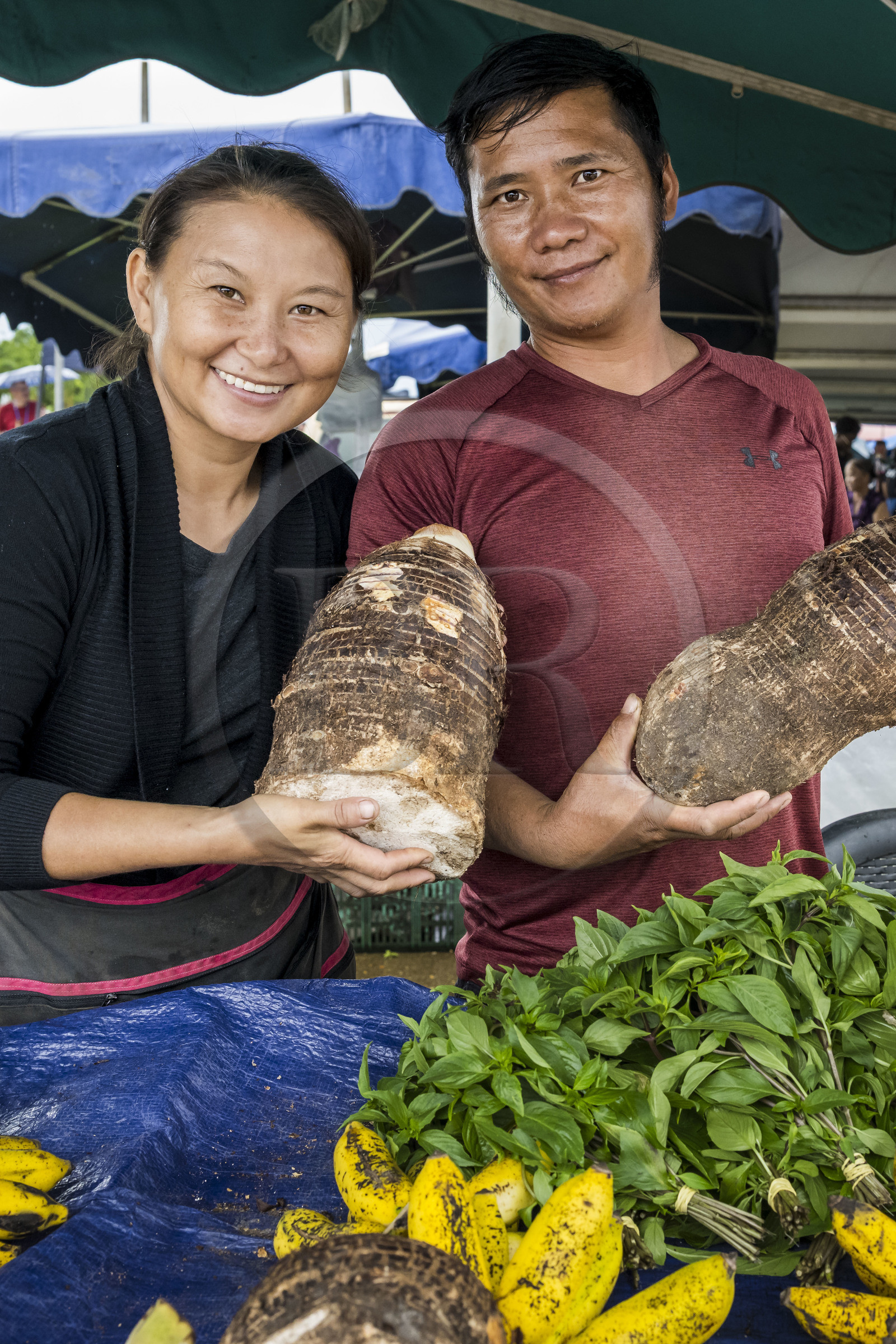 France, Guyane, Javouhey, marché du dimanche Hmong, réfugiés du Laos arrivés en 1978 qui se sont spécialisés dans la culture fruitière, Monica et son mari devant leur étal de racines de tarot, basilic thai et bananes