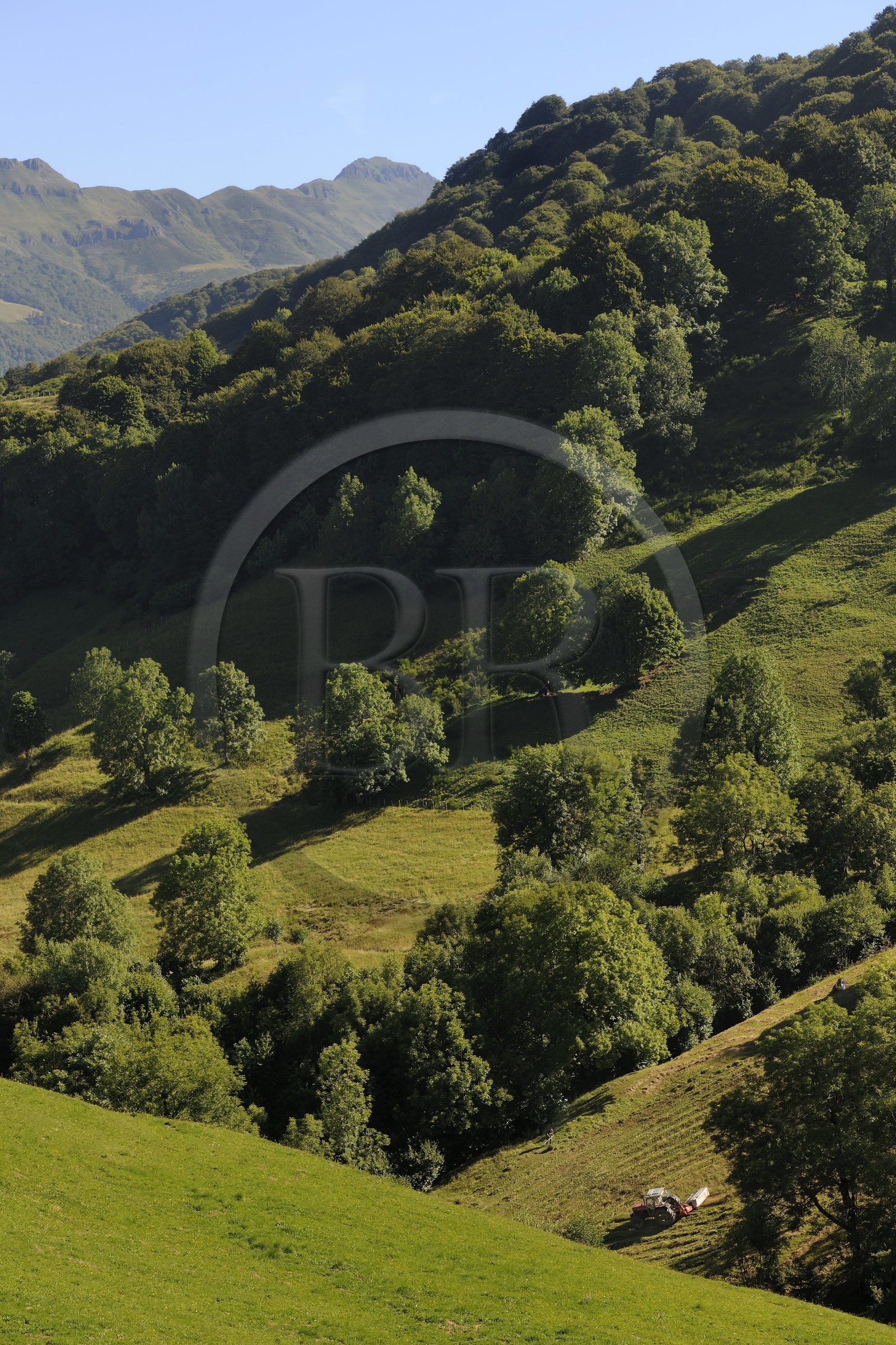 France, Cantal (15), monts du Cantal, Parc Naturel Régional des Volcans d' Auvergne, la vallée de la Jordanne vers Mandaille-Saint-Julien