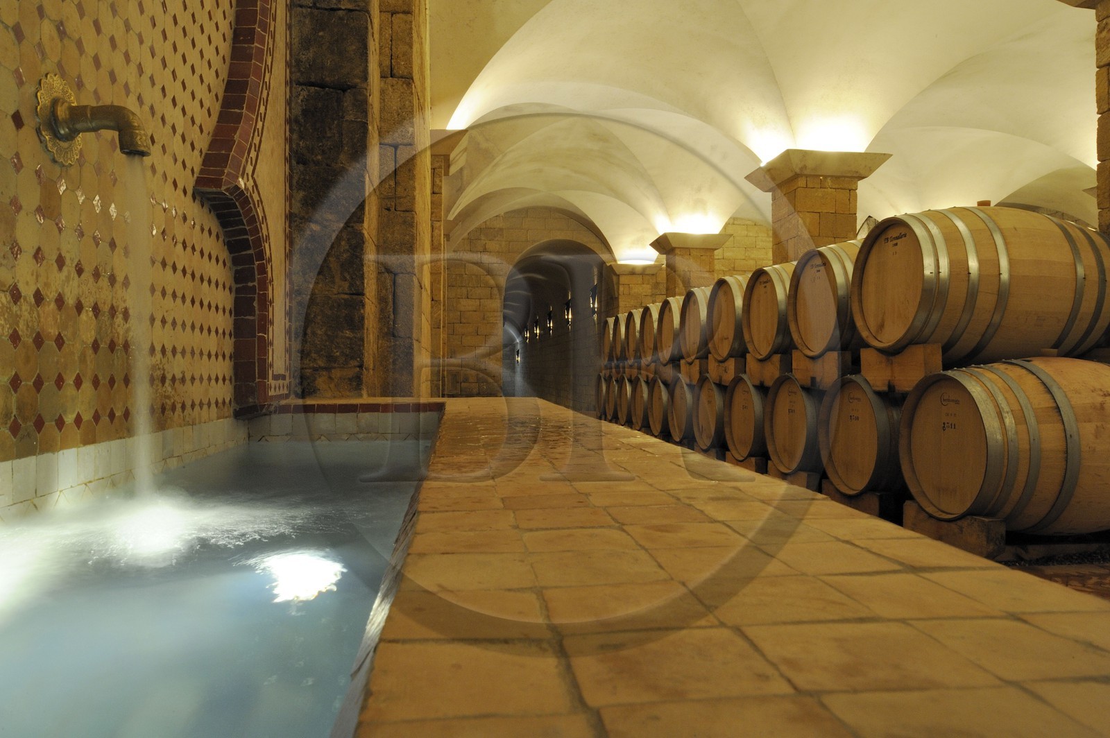 Morocco, Meknes Tafilalet Region, near Meknes, Boufakrane, Les Celliers de Meknes, wine cellar