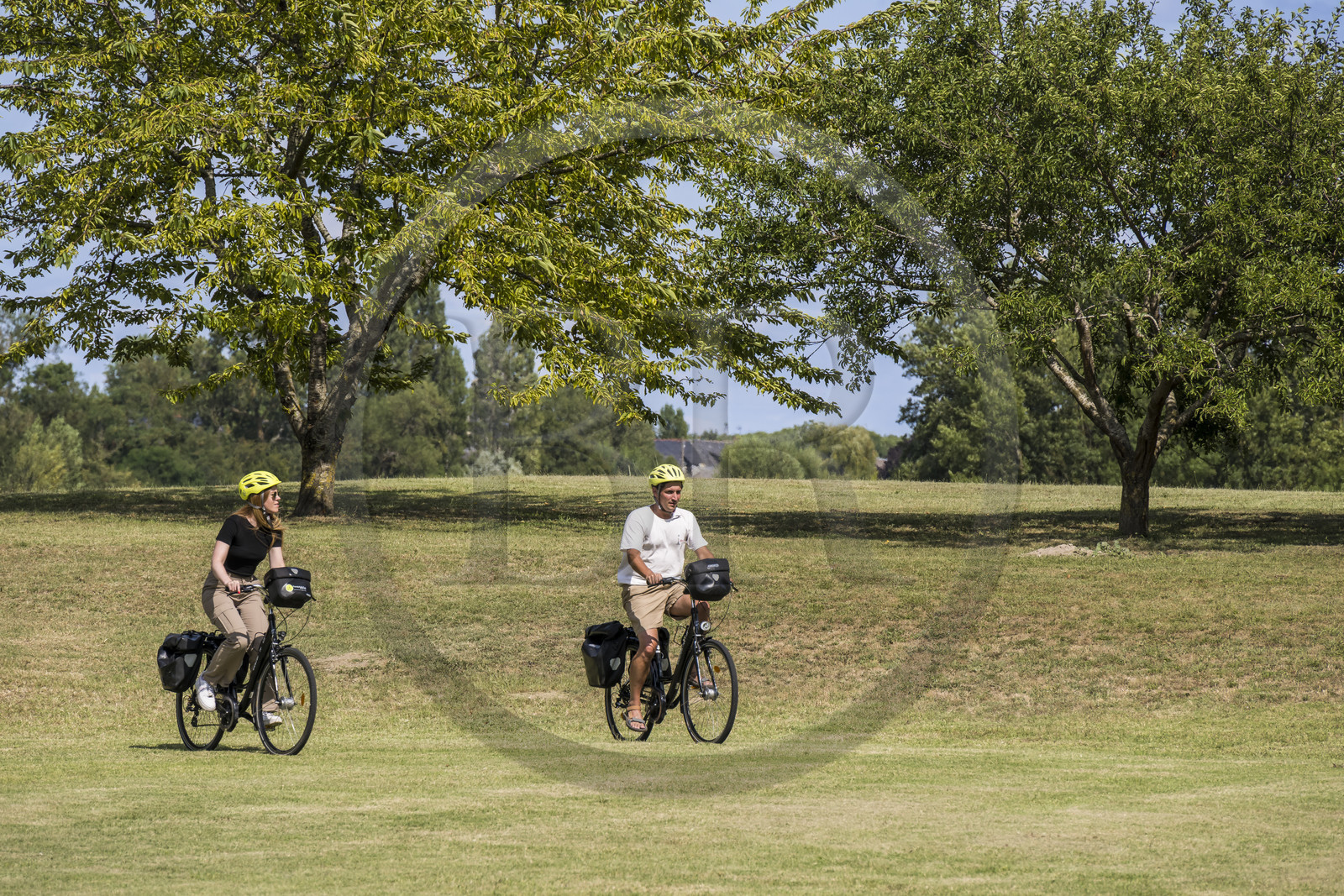 France, Maine-et-Loire, Loire valley listed as World Heritage by UNESCO, Gennes-Val-de-Loire, cycling on the banks of the Loire