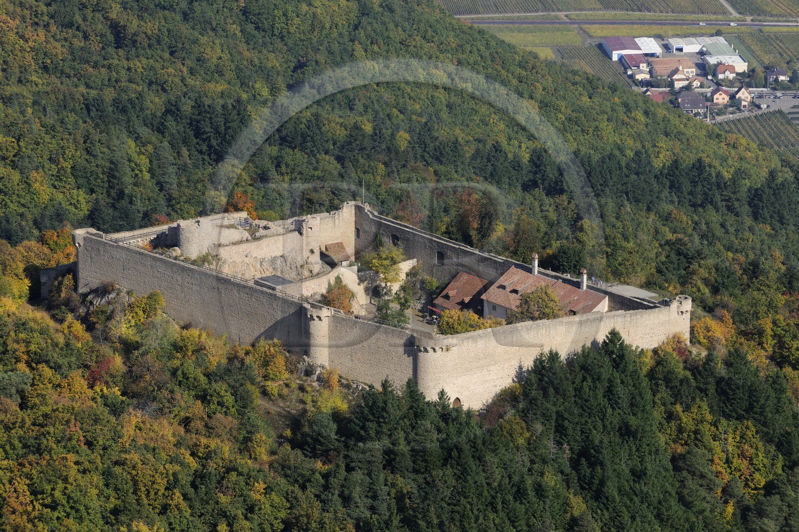 France, Haut-Rhin (68), le château de Hohlandsbourg dans le massif des Vosges sur les hauteurs d'Eguisheim (photo aérienne)
