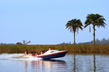 Gabon, province de Ogooué- Maritime, bateau à moteur sur la lagune du Fernan Vaz (Nkomi)