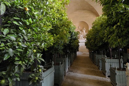 France, Yvelines (78), château de Versailles, classé Patrimoine Mondial de l'UNESCO, l'Orangerie en hiver de Jules Hardouin-Mansart