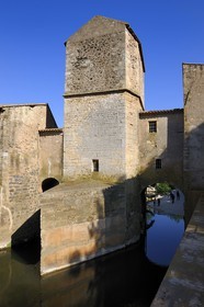 France, Herault, the wheat mill (moulin a Bled) in St. Thibery on the Herault river