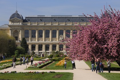 France, Paris (75), Muséum d'Histoire Naturelle, le Jardin des Plantes et la Grande Galerie de l’Évolution