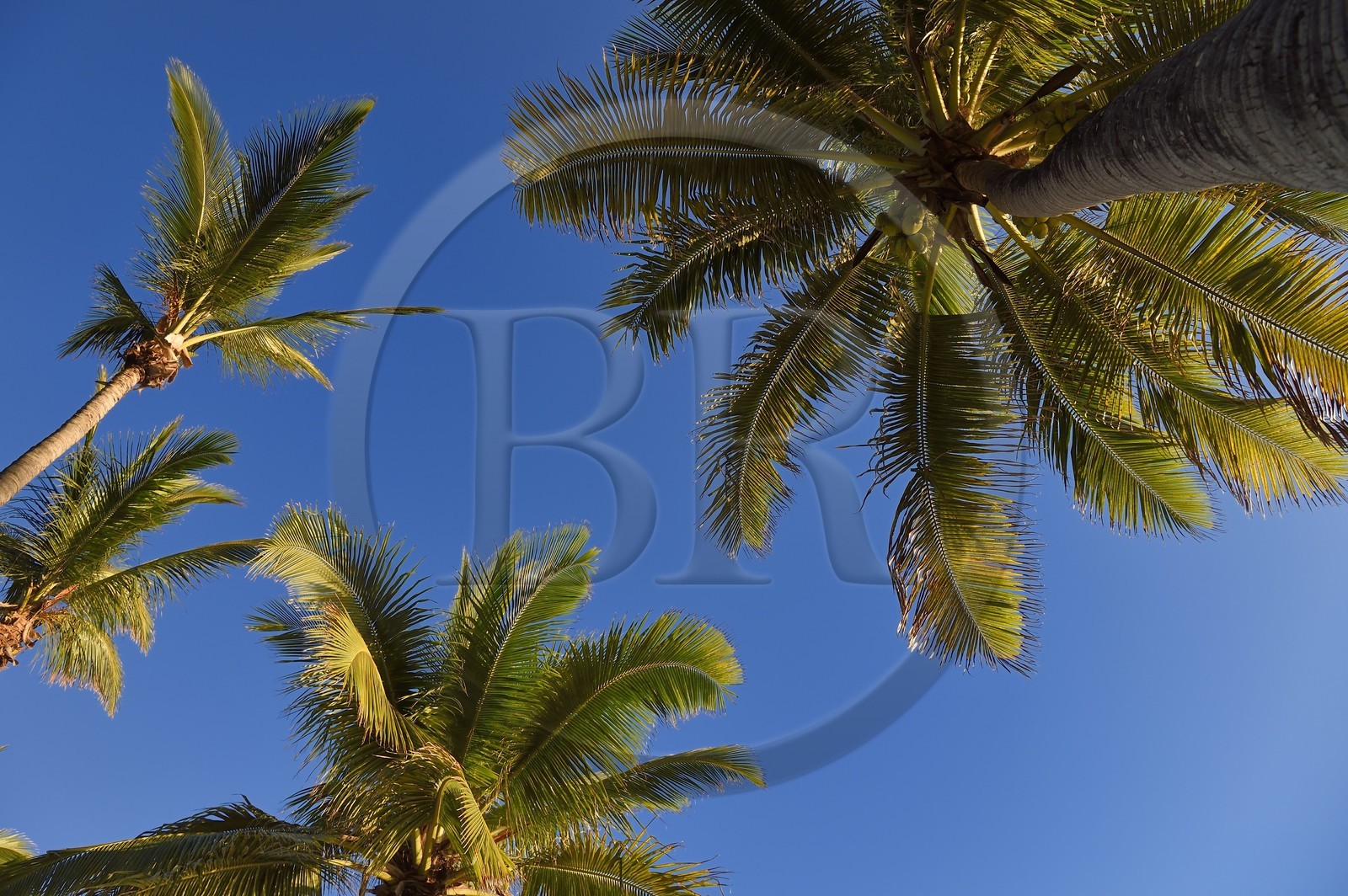 France, Ile de la Reunion, Petite-Ile sur la côte sud, plage de Grand-Anse