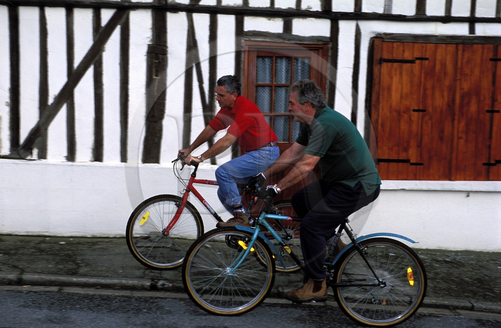 France, Eure, bicycle riding in the Risle River valley