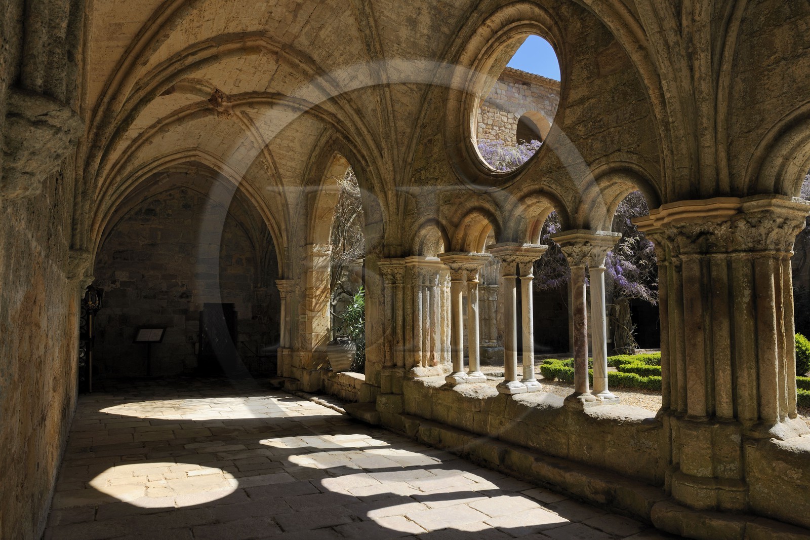 France, Aude (11), abbaye cistercienne de Fontfroide, le cloître