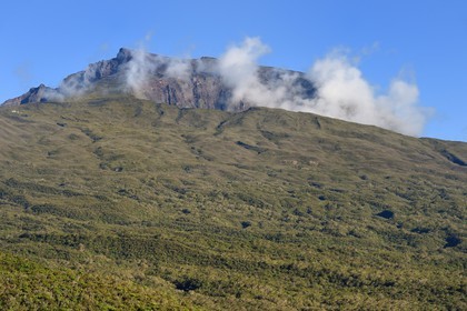 France, Ile de la Reunion, Saint Benoit, Parc national de La Reunion, classé Patrimoine Mondial de l'UNESCO, foret de Bébour, le Piton des Neiges