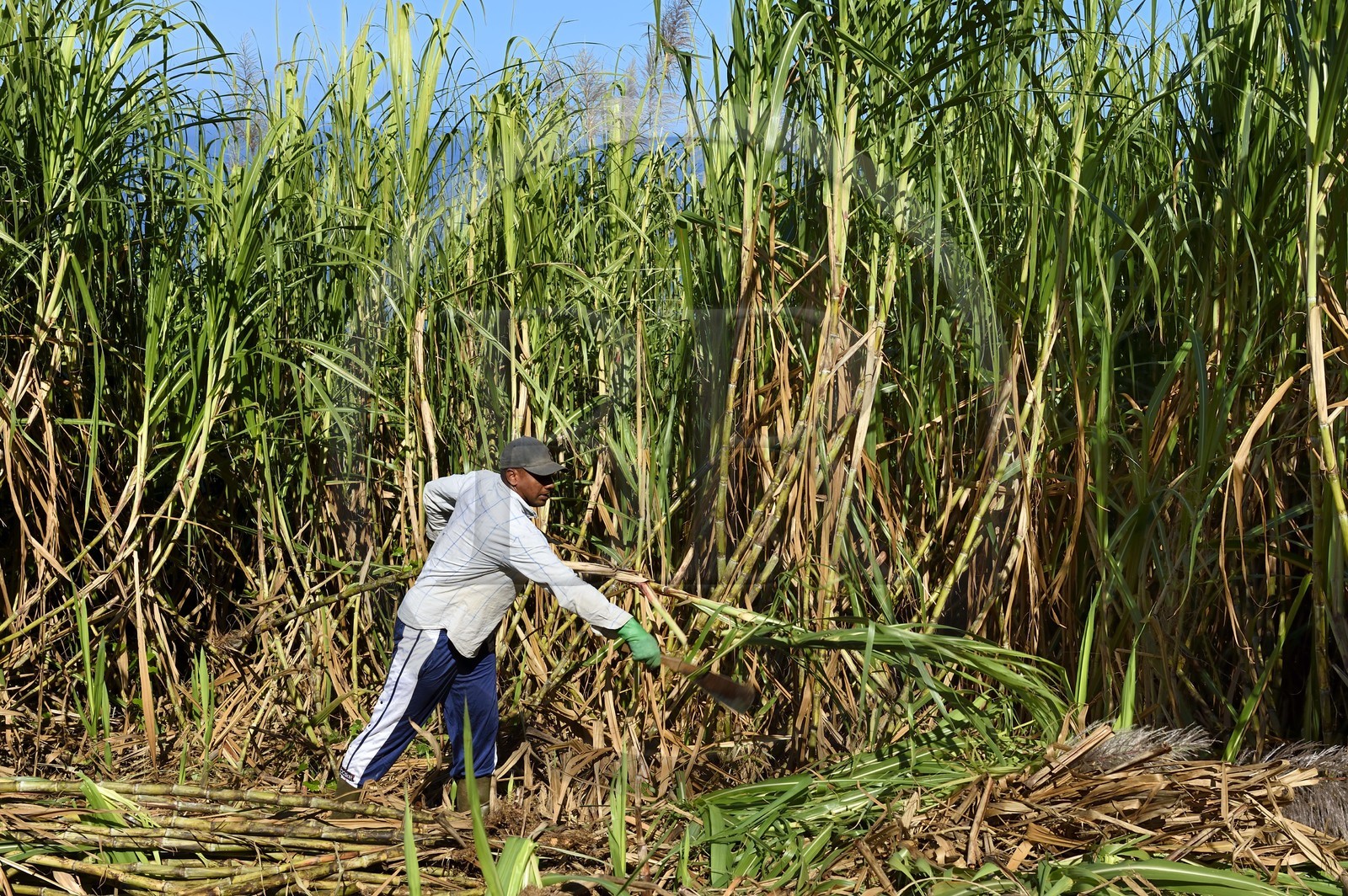 France, Ile de la Reunion, Petite-Ile,