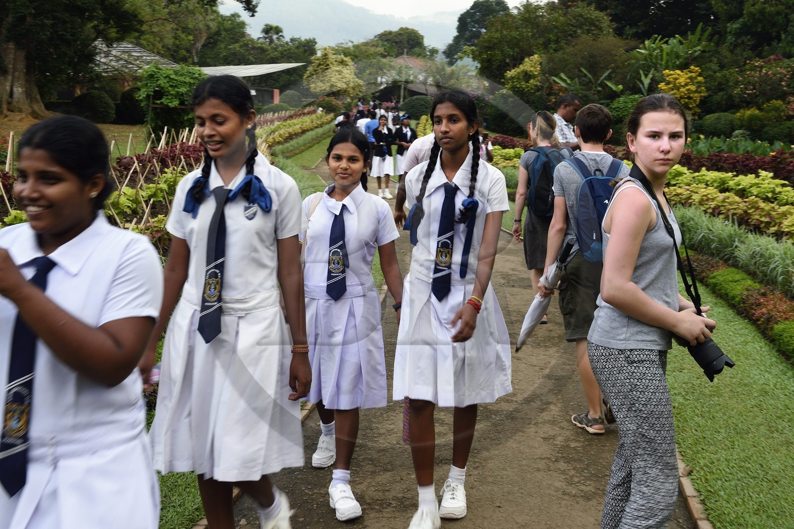 Sri Lanka, center province, Kandy, Peradeniya Botanical Garden, girls school trip and tourist