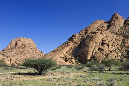 Namibia, Erongo region, Damaraland, Spitzkoppe or Spitzkop (1784 m), granite mountain in the Namib Desert