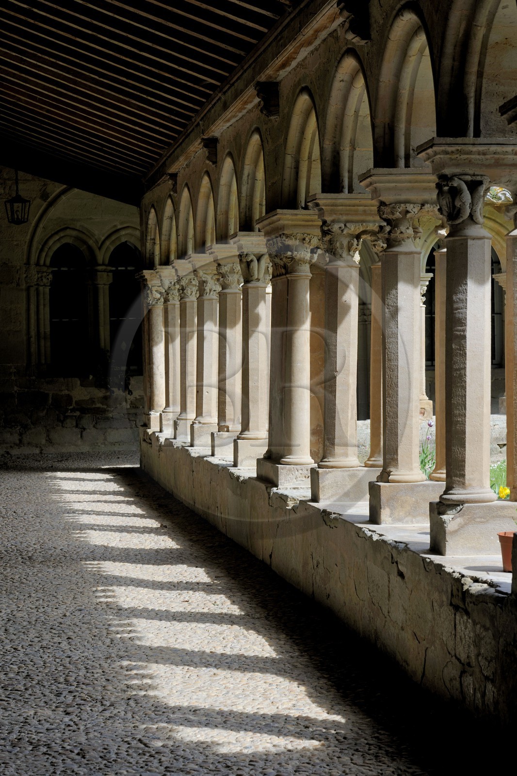 France, Aude (11), abbaye de Saint-Papoul, le cloitre
