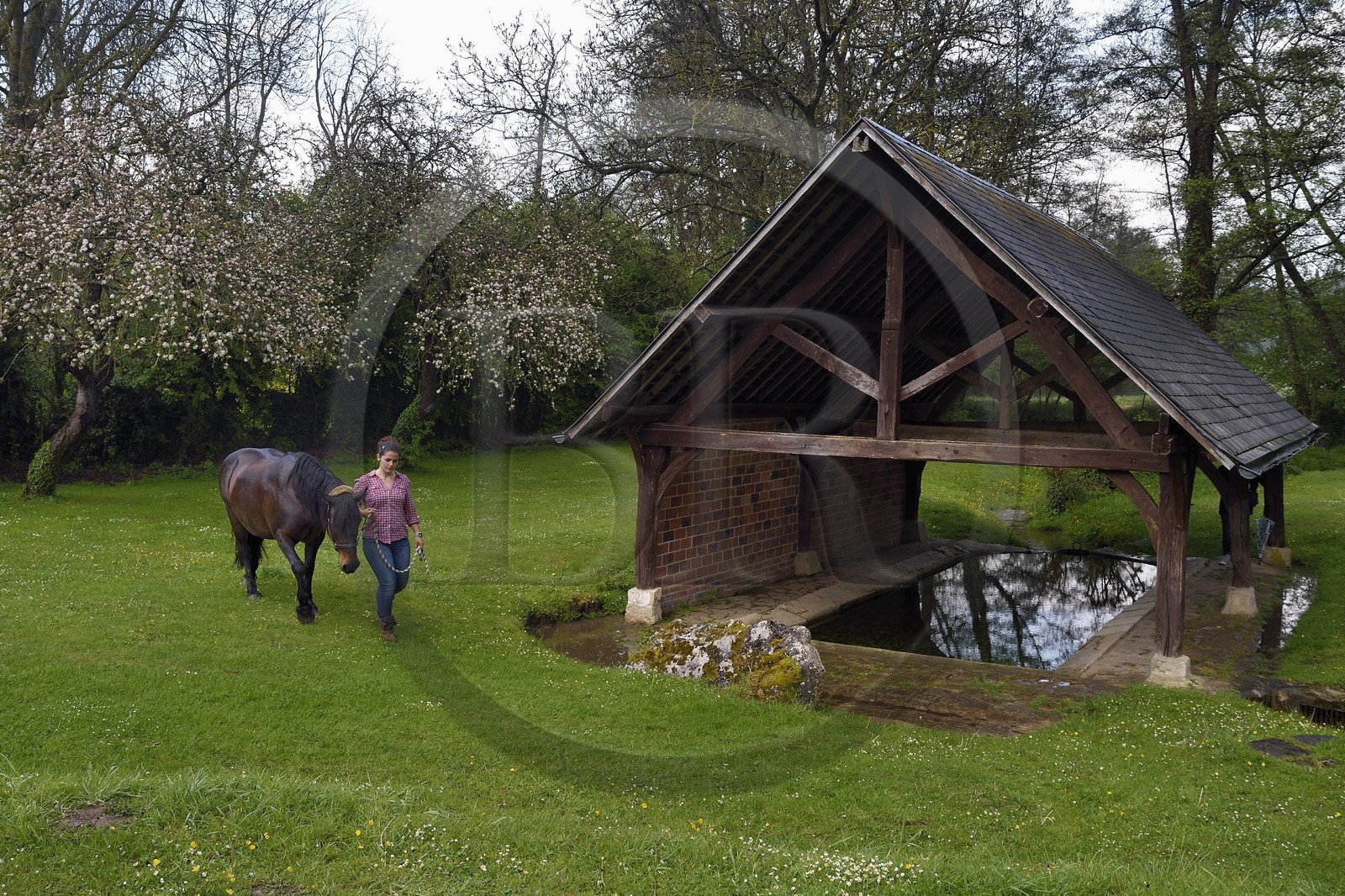 France, Yvelines (78), Montchauvet, le lavoir du XIXème siècle en contrebas du village, Claire Pilo