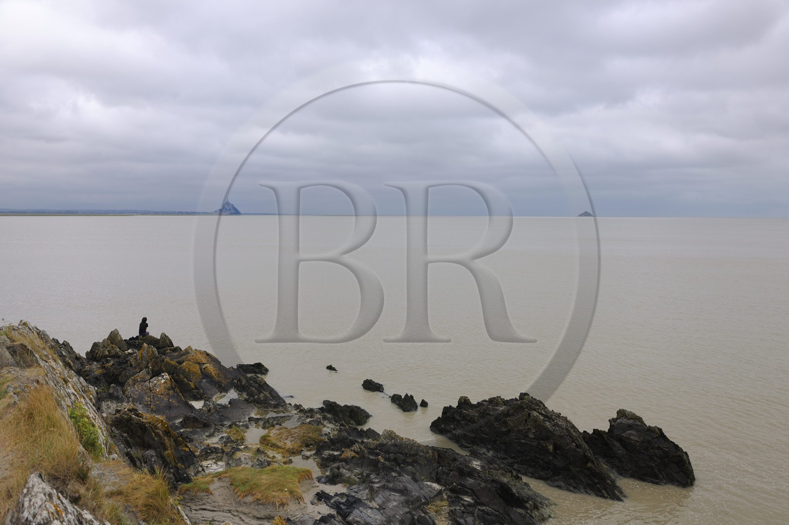 France, Manche (50), la Baie du Mont-Saint-Michel et le Mont depuis le Groin du Sud