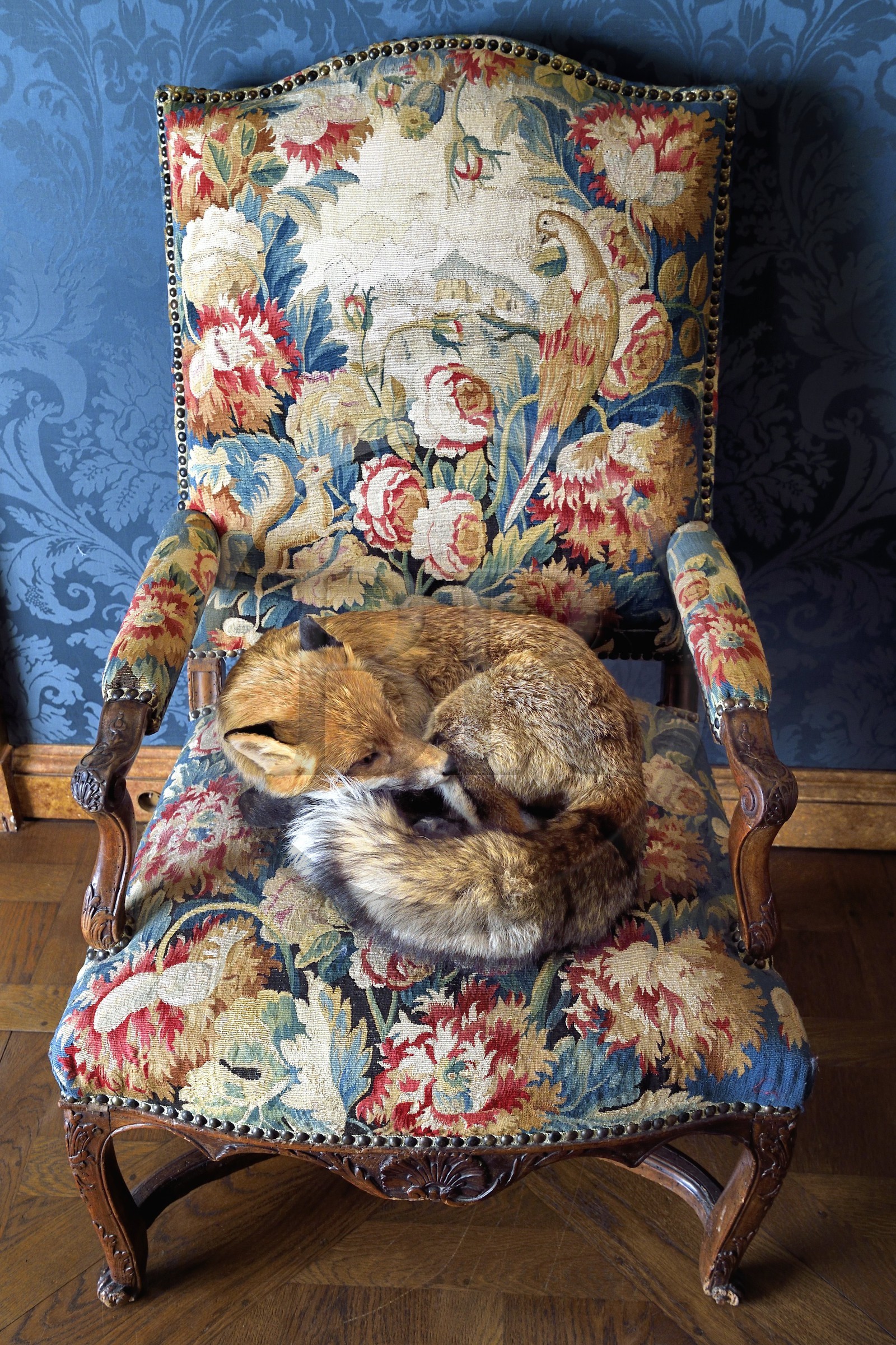 France, Paris (75), quartier du Marais, le musée de la Chasse et de la Nature dans l’hôtel de Guénégaud