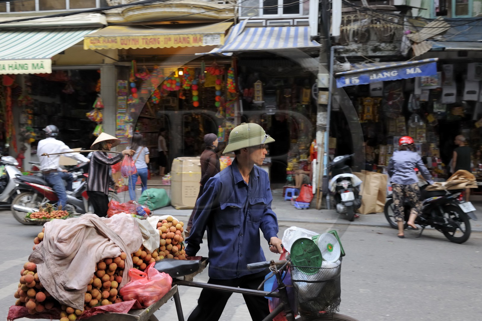 Vietnam, Hanoï, quartier des 36 rues dans la vieille ville, transport de lychee