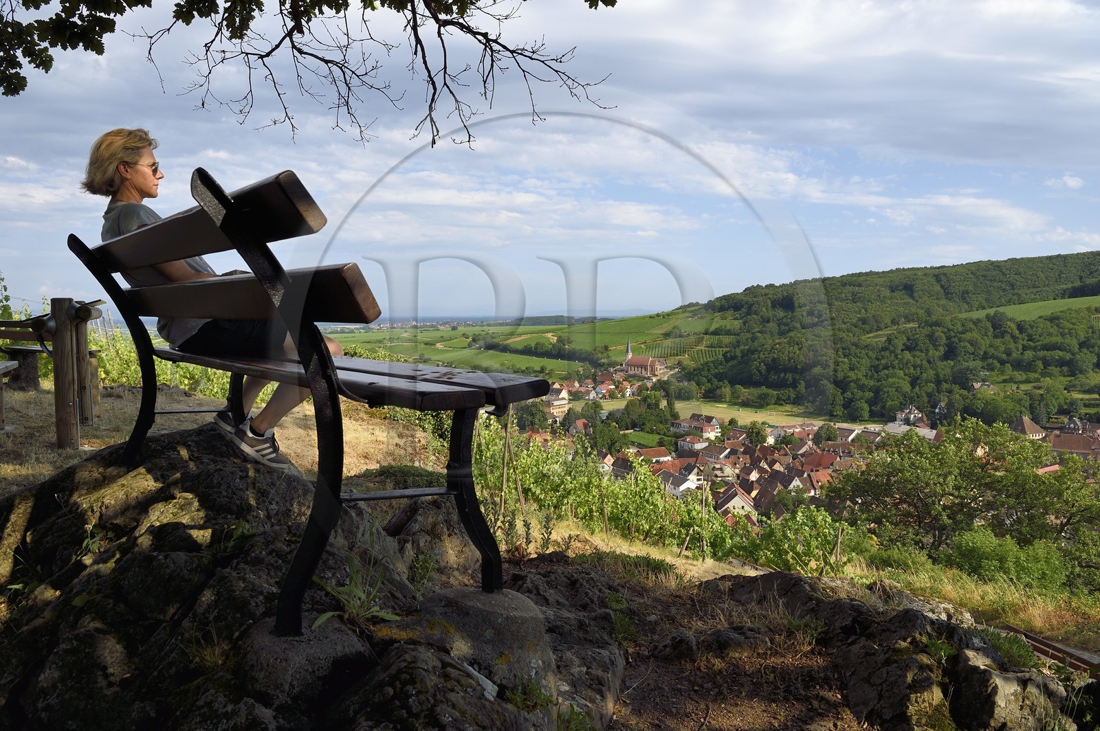 France, Bas-Rhin (67), Route des vins d'Alsace, Andlau, point de vue sur le village et la chapelle Saint-André en bordure du vignoble