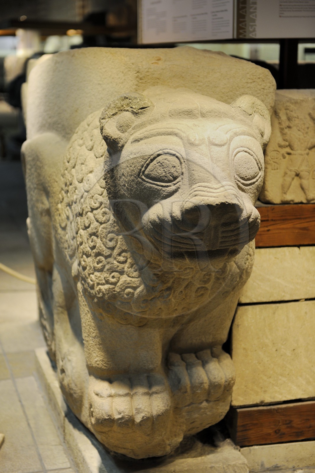 Turkey, Central Anatolia, Ankara, Anadolu Medeniyetleri Muzesi (Museum of Anatolian Civilizations), Hall of the Hittite sculpture