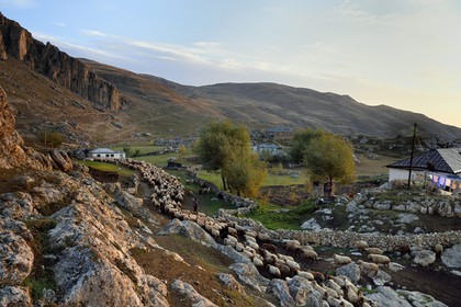 Azerbaijan, Quba (Guba) region, Greater Caucasus mountain range, village of Giriz at dawn, departure of sheep for the meadows