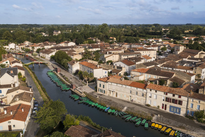 France, Deux-Sèvres (79), le Marais Poitevin, la Venise Verte, Coulon, labellisé Les Plus Beaux Villages de France, barques à fond plat sur les rives de la Sèvre Niortaise (vue aérienne)