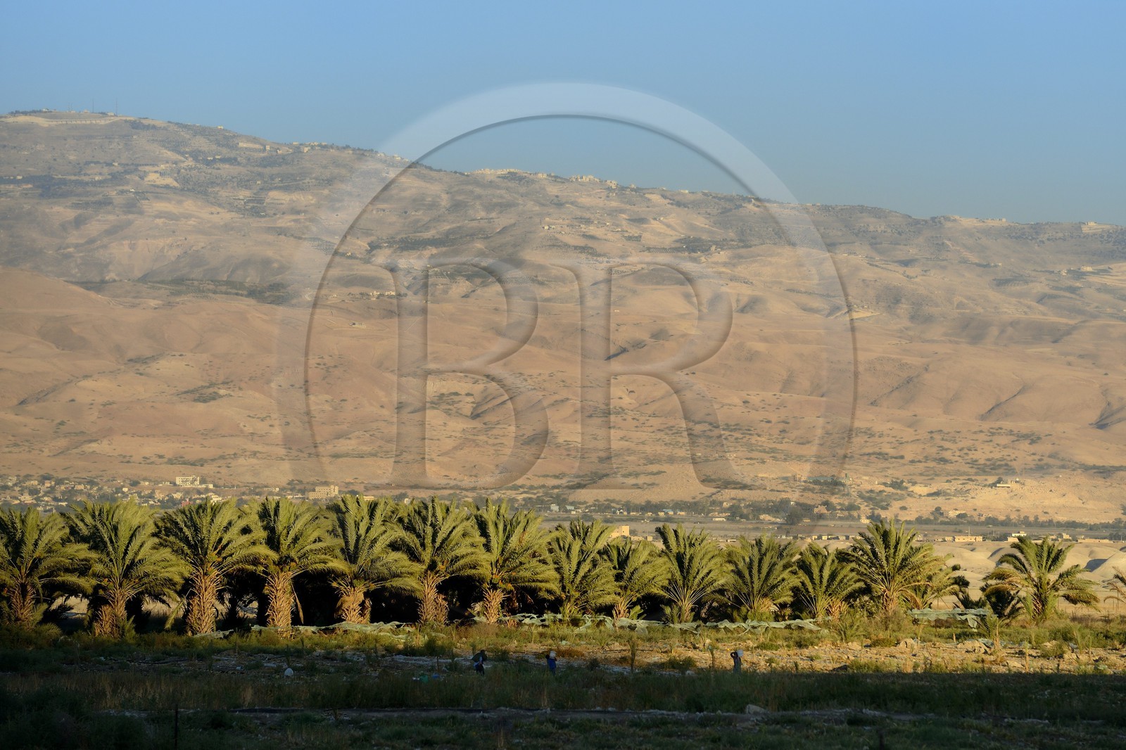 Israel, Northern District, Lower Galilee, the Jordan River valley and the mountains of Jordan in the background