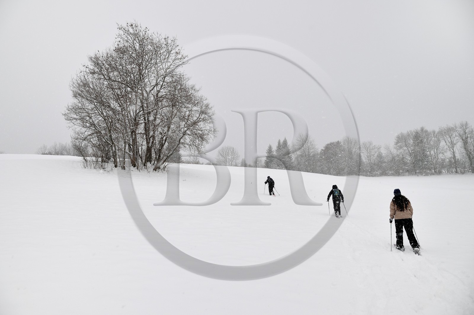 France, Haute Savoie, Araches la Frasse, Les Carroz d'Araches ski resort, snowshoeing