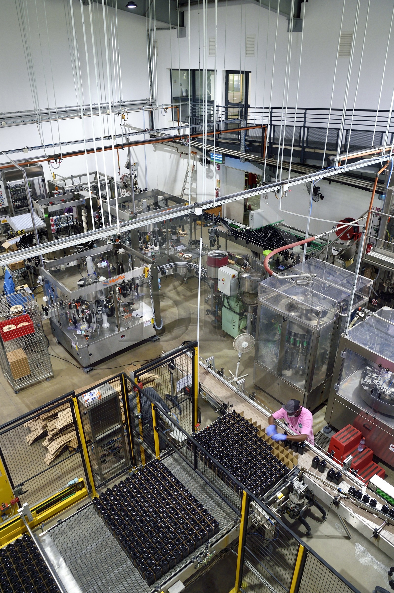 France, Ile de la Reunion, Saint Pierre, domaine de la distillerie Isautier, usine d'embouteillage et d'étiquetage