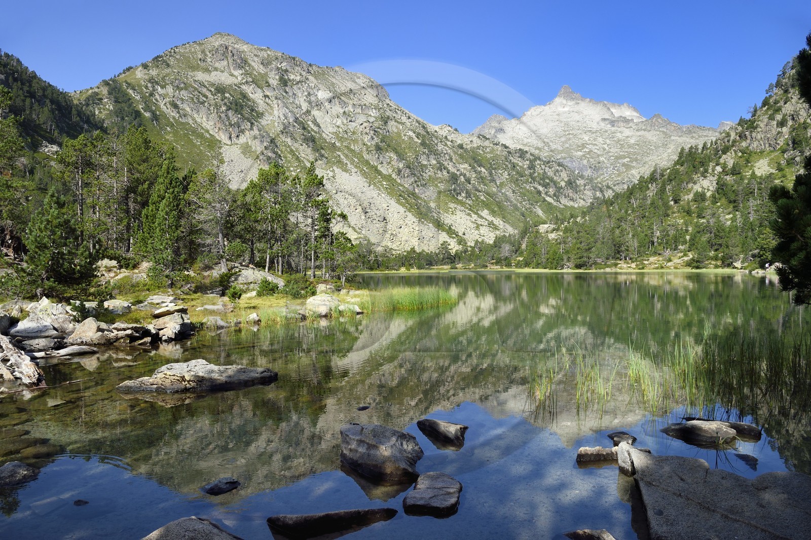 France, Hautes-Pyrénées (65), Saint-Lary-Soulan, Réserve naturelle nationale du Néouvielle, randonnée des lacs du Neouvielle, les Laquettes