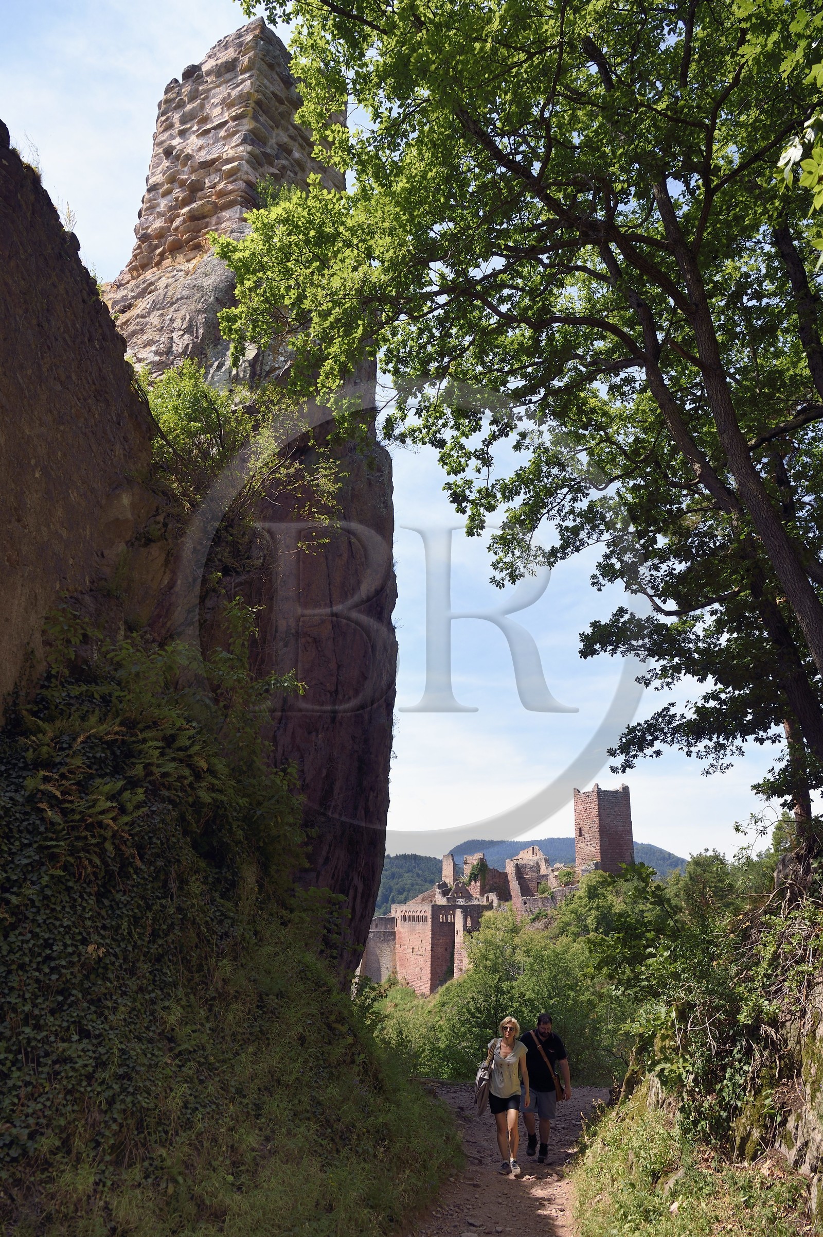 France, Haut-Rhin (68), Route des vins d'Alsace, Ribeauvillé, chateau de Girsberg et chateau Saint-Ulrich en arrière plan