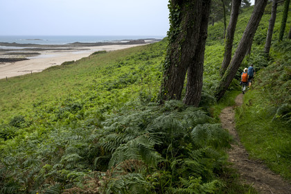 France, Cotes d'Armor, Grand Site de France Cap d'Erquy – Cap Frehel, Erquy, hikers on the GR34 hiking trail along the Guen beach