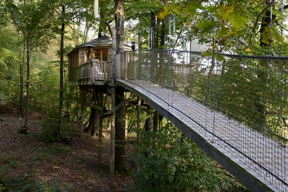France, Marne (51), Parc Naturel Regional de la Montagne de Reims, Verzenay, le Perching Bar, une passerelle en bois donne accès à ce surprenant bar à champagne perché dans les arbres
