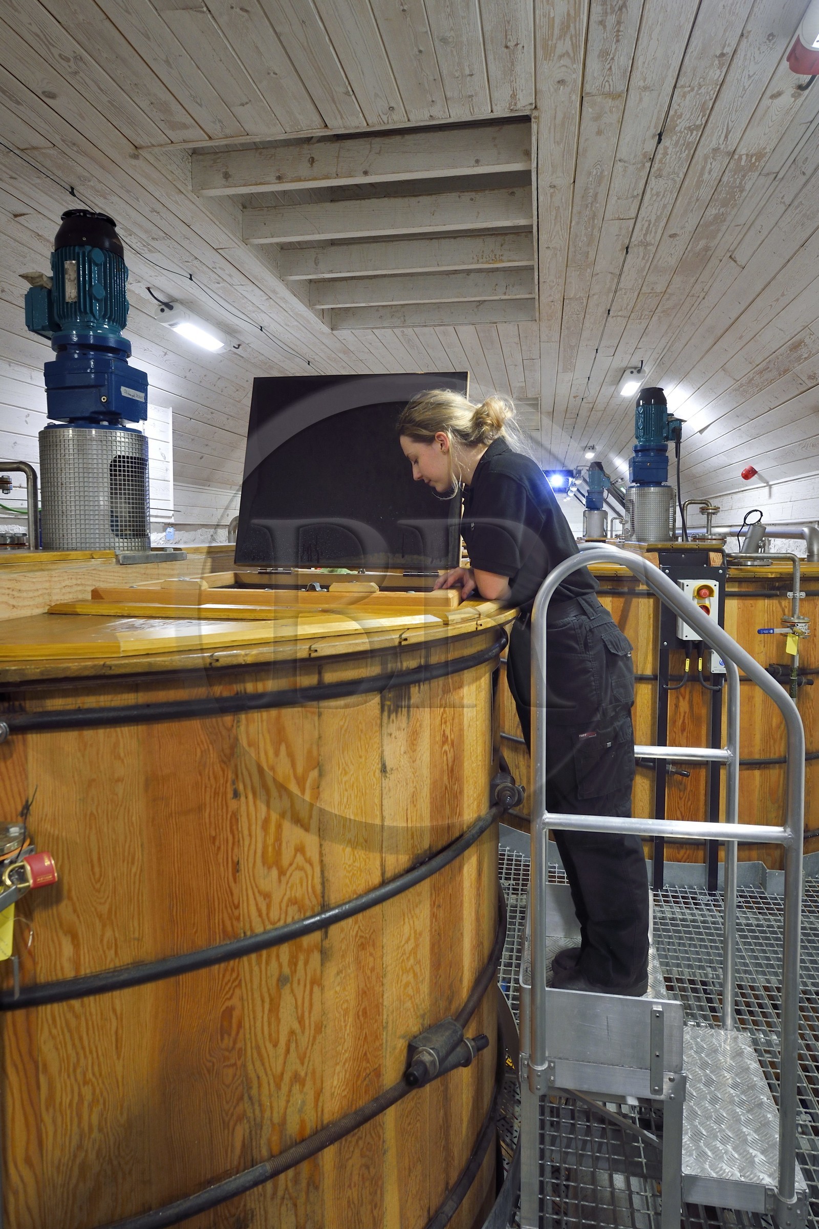 Royaume-Uni, Ecosse, région des Highlands, les Hébrides, Ile de Skye, Teangue, Distillerie de whisky Torabhaig, Iona vérifiant le bon avancement dans le fermenteur (washback)