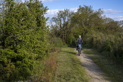 France, Vendée (85), Saint-Aubin-des-Ormeaux, sur la piste de la véloroute Vendée Vélo Tour