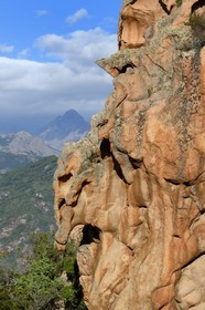 France, Corse-du-Sud (2A), Golfe de Porto, classé Patrimoine Mondial de l'UNESCO, calanches de Piana, rochers de granit rose aux formes fantasmagoriques sur le chemin dit du Chateau-Fort