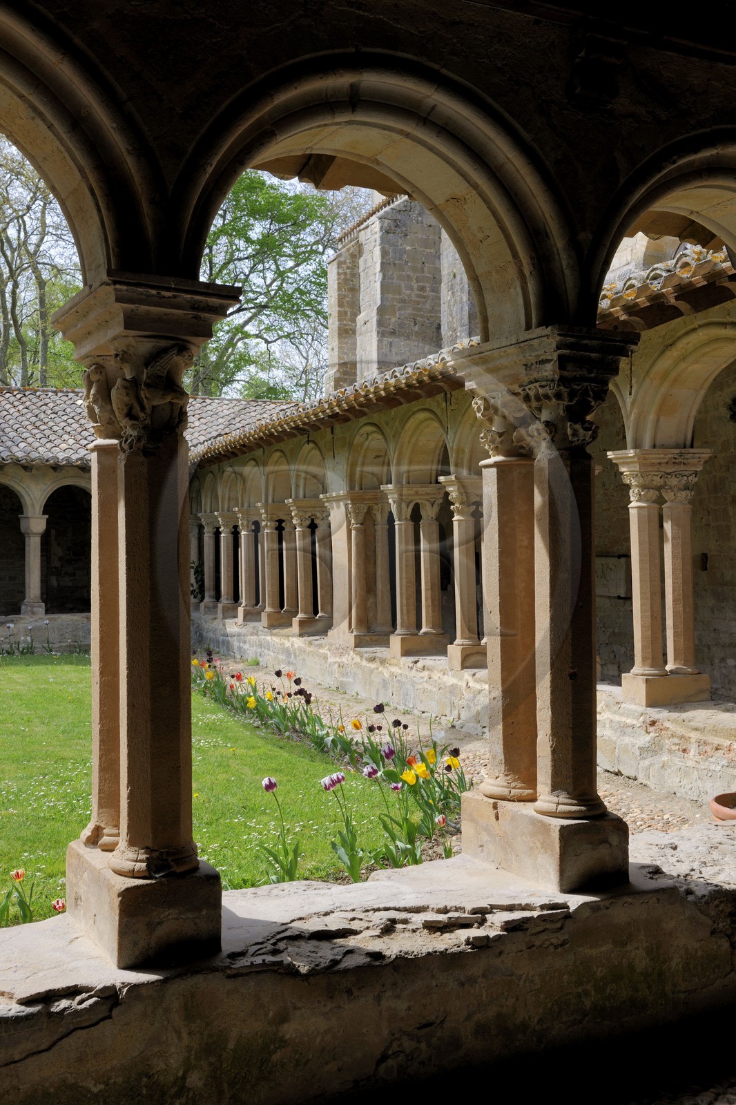 France, Aude (11), abbaye de Saint-Papoul, le cloitre