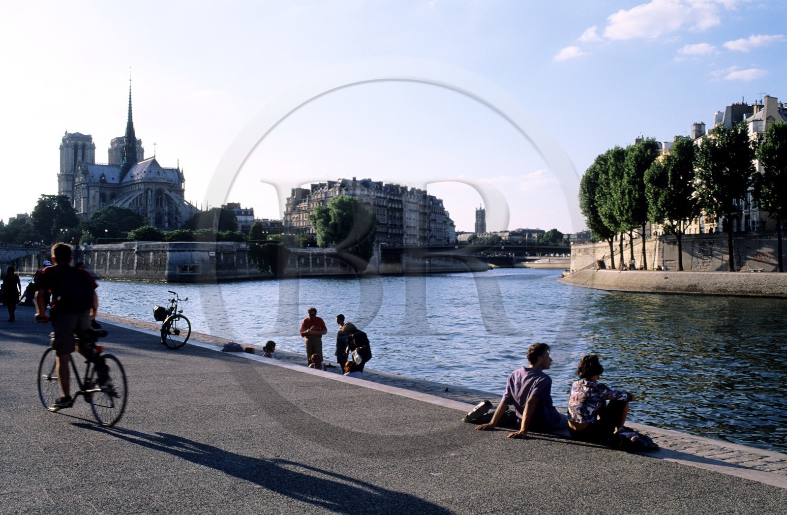 France, Paris (75), Notre-Dame de Paris et l' île de la Cité vue du quai Saint-Bernard