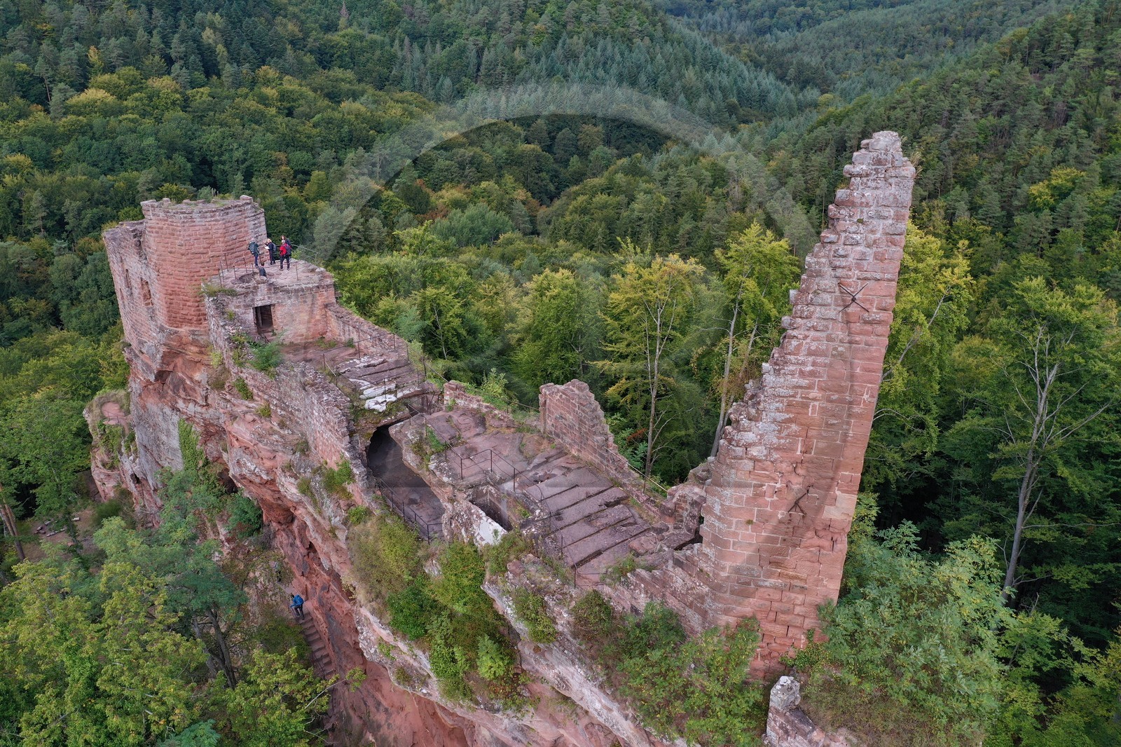 France, Bas-Rhin (67), Parc naturel r