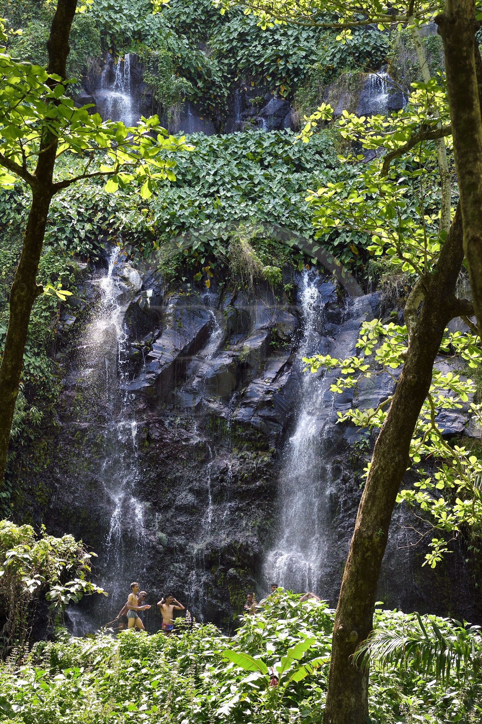 France, Ile de la Reunion, Parc national de La Réunion, classé Patrimoine Mondial de l'UNESCO, Sainte-Rose, anse des Cascades, enfants créoles se baignant sous une cascade