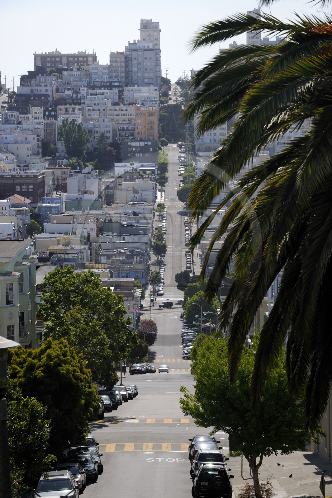 United States, California, San Francisco, Lombard street in the North Beach district