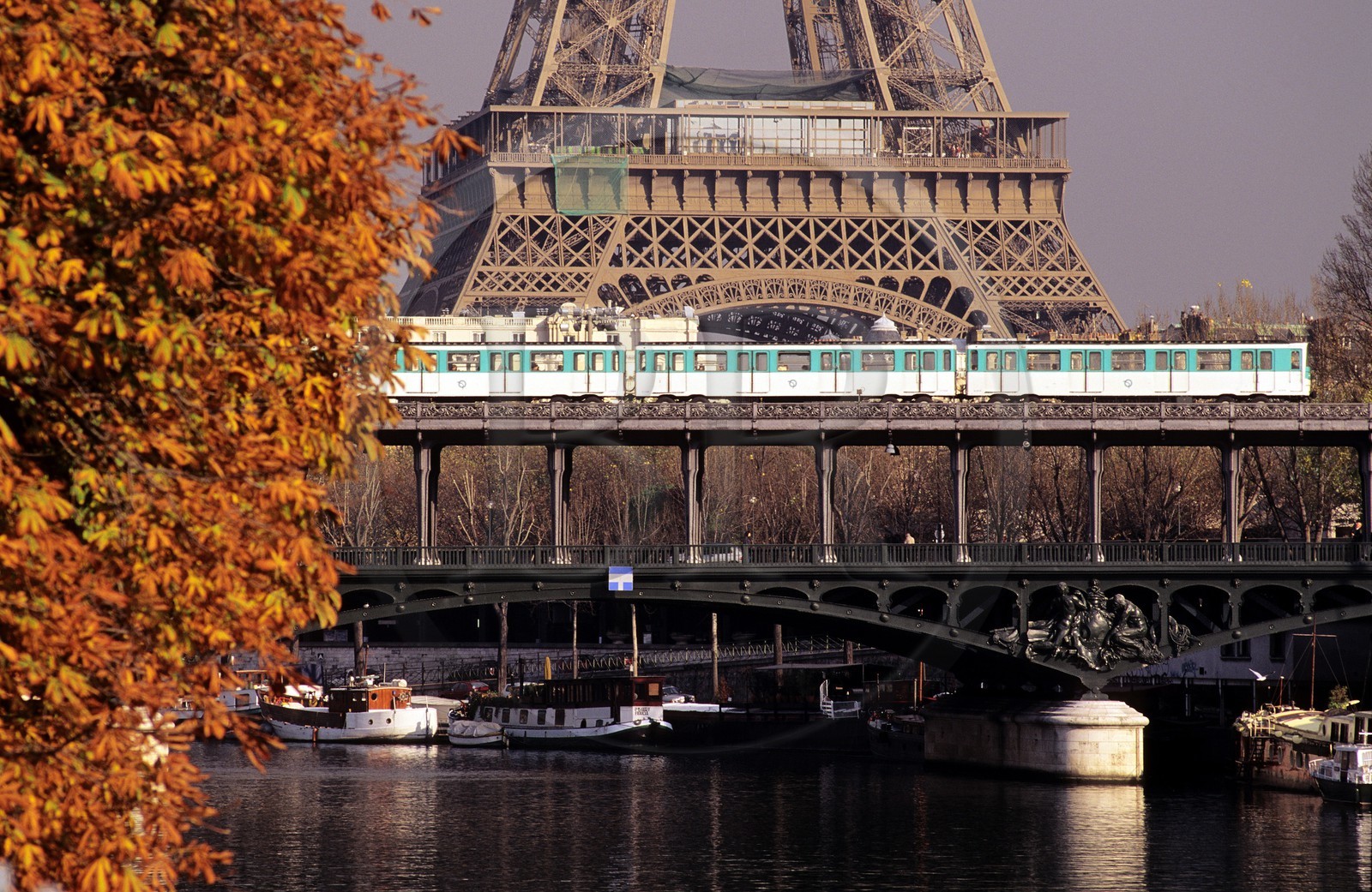 France, Paris (75), les rives de la Seine, classées Patrimoine Mondial de l'UNESCO, le métro aérien sur le pont Bir-Hakeim