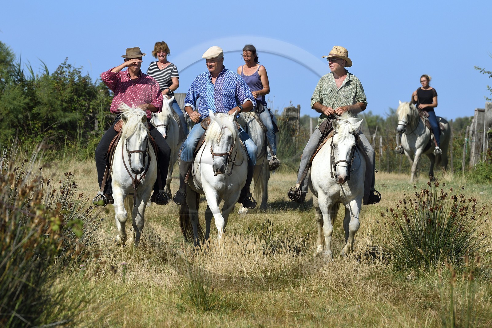 France, Bouches-du-Rhône (13), Parc naturel régional de Camargue, manade Jacques Mailhan, gardian à cheval