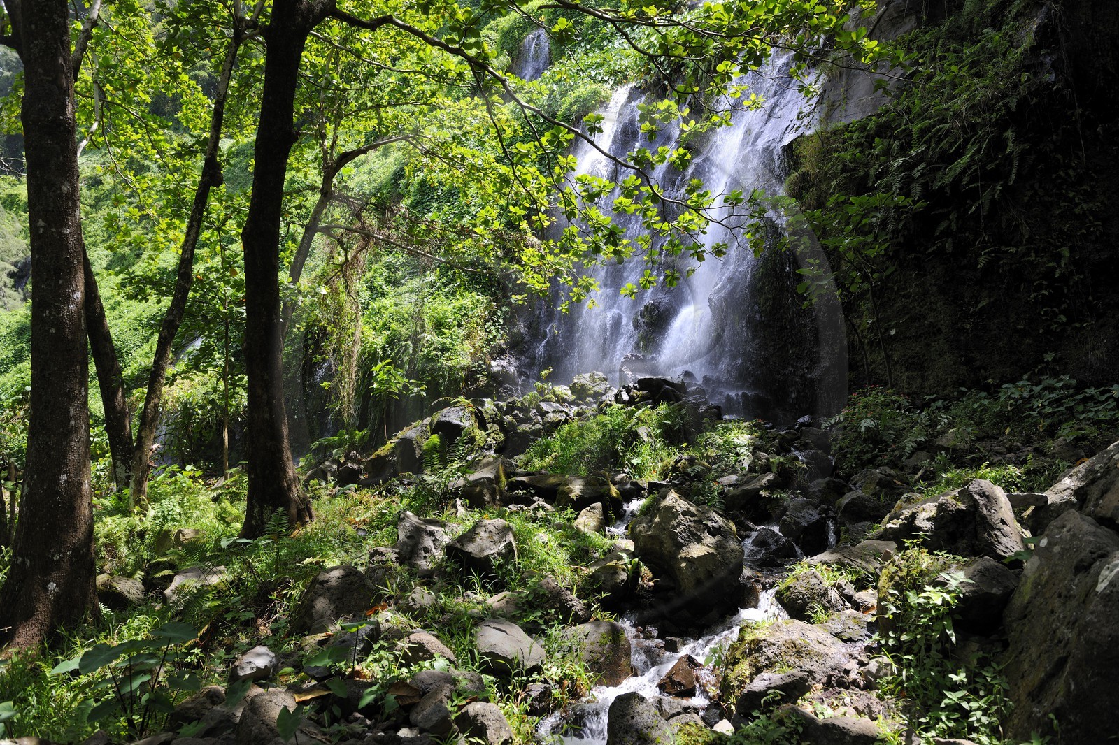 France, île de la Réunion, anse des Cascades, au sud de Piton-Sainte-Rose, classé Patrimoine Mondial de l'UNESCO